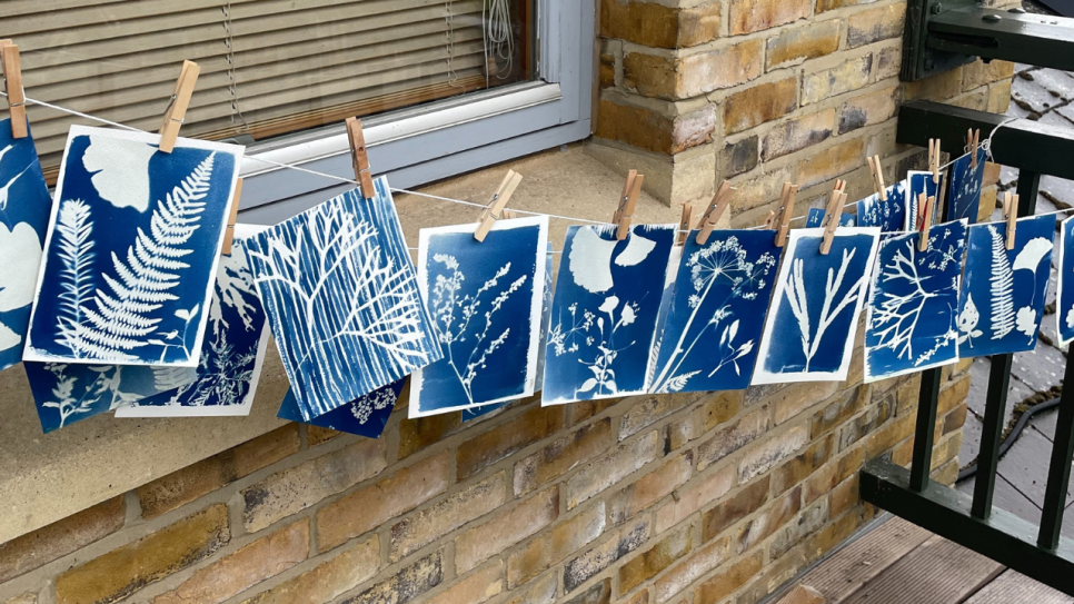Cyanotype Printmaking Workshop